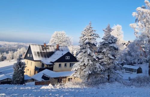 Seiffen Apartment | Child-Friendly Ferienwohnung Reinhardt in Steinhübel - 9.2/10
