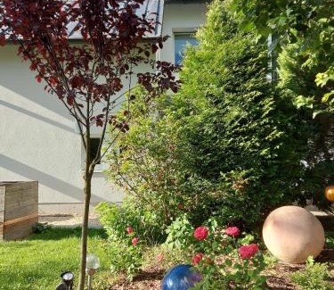 Tannenbergsthal Apartment | Ferienwohnung Reinhold