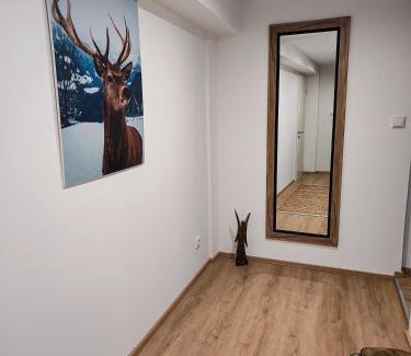 Oberstaufen Apartment | Stylish Ferienwohnung RESL in Historic Schindelhaus