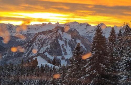 Gersau Apartment | Family-Friendly Retreat at Ferienwohnung Rigi-Scheidegg Ost