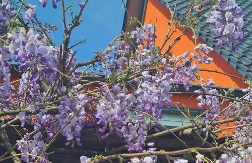 Rimbach Apartment | Family-Friendly Oceanfront Stay at Ferienwohnung Rimbach