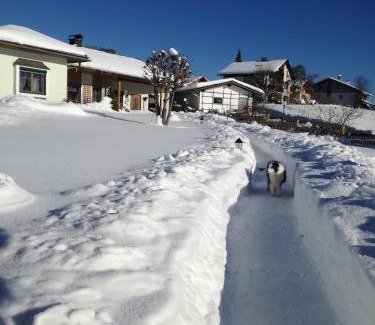 Bad Mitterndorf Apartment | Discover Ferienwohnung Rita: Child-Friendly Retreat