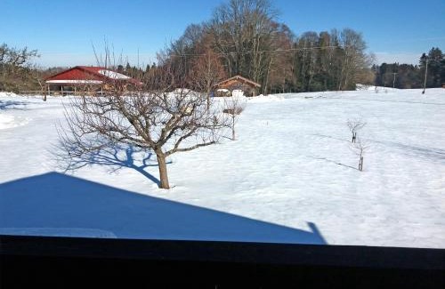 Aschau im Chiemgau Apartment | Cozy Ferienwohnung Schäffer with Oceanfront Views