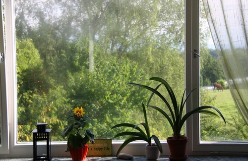 Ailingen Apartment | Inviting Ferienwohnung "Sonnenblume" with Kitchen & Breakfast