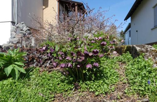 Beerfelden Apartment | Kid-Friendly Ferienwohnung Schanbacher - Rated 9.1/10