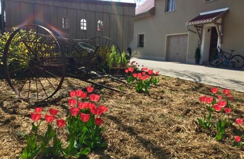 Groskoschen Apartment | Pet-Friendly Ferienwohnung Schwalbennest-Großkoschen Retreat