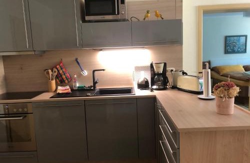 Schwarzburg Apartment | Pet-Friendly Ferienwohnung Schwarzatal with Great Amenities