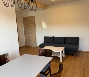 Lauscha Apartment | Ferienwohnung Siamblick