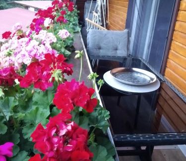 Oberharmersbach Apartment | Family-Friendly Ferienwohnung Sonnenblick with High Ratings