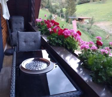 Oberharmersbach Apartment | Family-Friendly Ferienwohnung Sonnenblick with High Ratings
