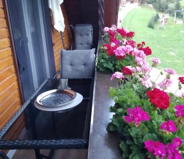 Oberharmersbach Apartment | Family-Friendly Ferienwohnung Sonnenblick with High Ratings