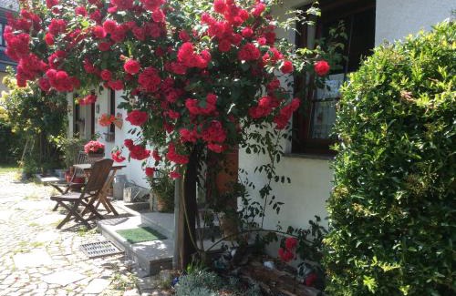 Boxdorf Apartment | Cozy Ferienwohnung Sonne Near Dresden with Family Amenities