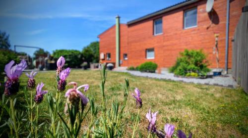Laage Apartment | Discover Ferienwohnung Sophia - 9.1/10 Guest Rated Escape
