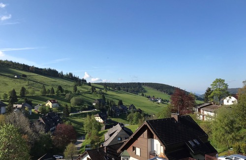 Todtnau Apartment | Ideal Retreat: Ferienwohnung Stübenwasen with Spa & Kitchen