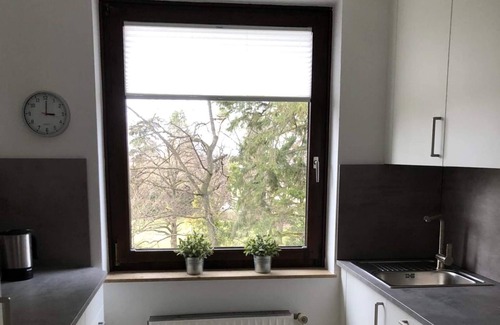 Bad Harzburg Apartment | Comfortable Ferienwohnung Stadtpark: Family-Friendly Stay