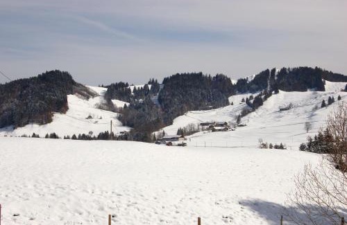 Steibis Apartment | Seaside Family Retreat at Ferienwohnung Steibis, Allgäu