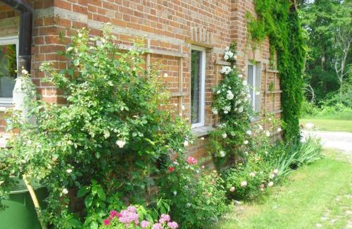 Muritz Apartment | Family-Friendly Ferienwohnung Stolz G for Your Next Getaway