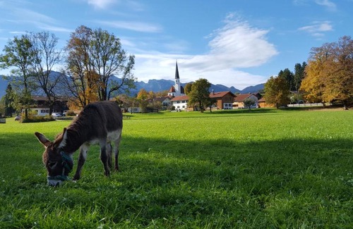 Wackersberg Apartment | Family-Friendly Ferienwohnung Sundratn with 9.5/10 Rating