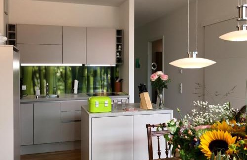 Insel Apartment | Bright Getaway: Relaxing Apartment with Lake View & Balcony