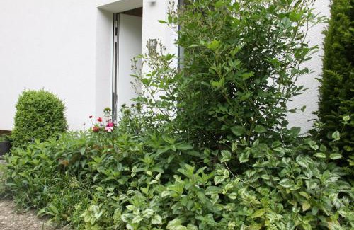 Muellheim Apartment | Accessible Getaway at Ferienwohnung Vinea - Rated 9.3/10