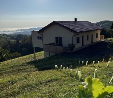 Kitzeck im Sausal Apartment | Guest Rated 10/10: Ferienwohnung Weingut Koller with Ocean View