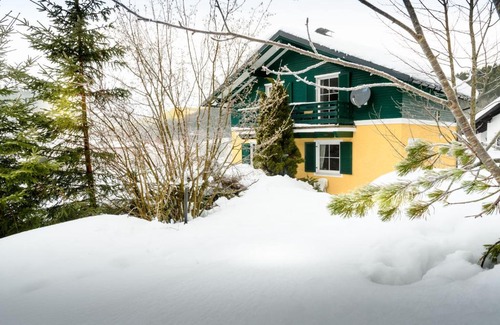 Lackenhof Apartment | Comfortable Ferienwohnung Weitental with Hot Tub & Kitchen