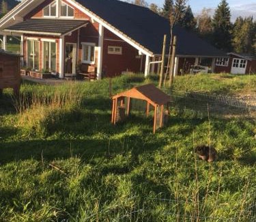 Scheidegg Apartment | Pet-Friendly Ferienwohnung Winterberg with Family Amenities