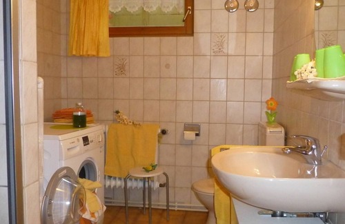 Kirchzarten Apartment | Family-Friendly Ferienwohnung Zitrone with Kitchen & Pet Access
