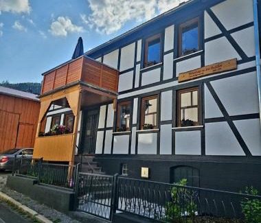 Ilsenburg Apartment | Cozy Retreat at Ferienwohnung zu den Ilsefällen I