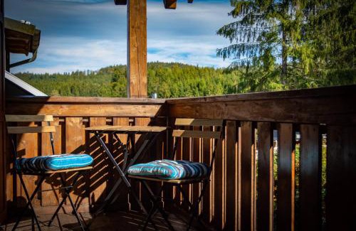 Oberviechtach Apartment | Discover Ferienwohnung zum Forsthaus: Poolside Retreat Awaits
