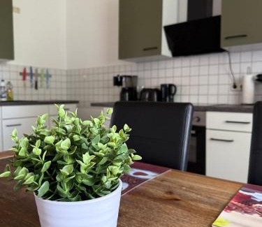 Schwanebeck Apartment | Ferienwohnung zum Klosterhof