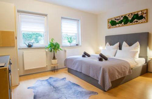 Ilmenau Apartment | Relaxing Retreat at Ferienwohnung Zum Sperberring with Netflix