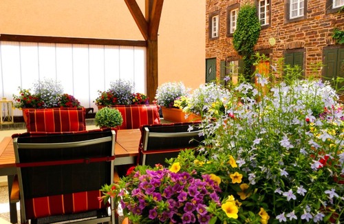 Neef Apartment | Discover Ferienwohnungen am Matthiasturm: Pet-Friendly Retreat