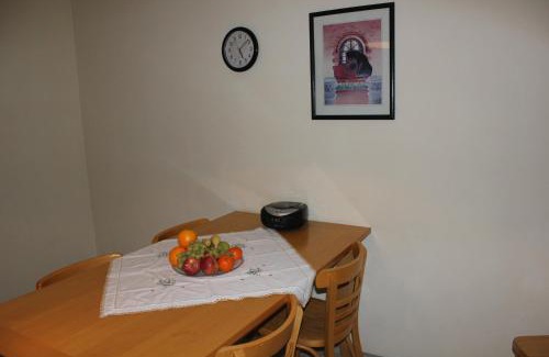 City Centre Regensburg Apartment | Cozy Ferienwohnungen-Goldbach with Family & Pet Amenities