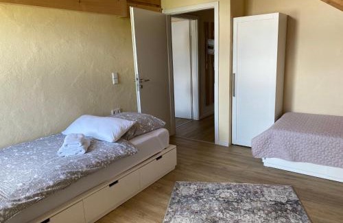 Singen Apartment | Family-Friendly Ferienwohnungen im Hegau with High Ratings