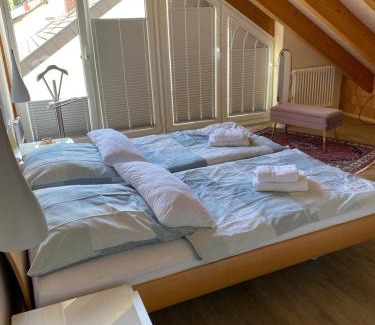 Singen Apartment | Family-Friendly Ferienwohnungen im Hegau with High Ratings