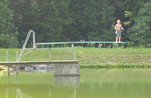 Albeck Apartment | Family-Friendly Getaway at Ferienwohnungen Jagerhüttn