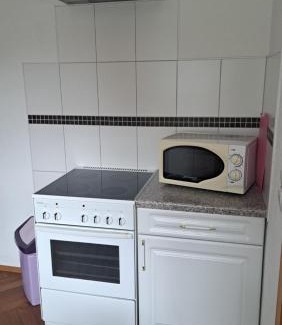 Hohenluftkurort Grunbach Apartment | Pet-Friendly Retreat at Ferienwohnungen Reiterhof Lienemann