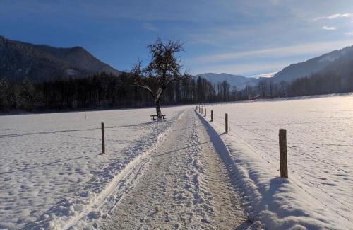Kreuth House | Family-Friendly Ferienwohnungen Rohnbogner for Memorable Stays