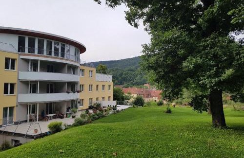 Zella-Mehlis Apartment | Explore Ferienwohnungen Thüringer Wald with Family-Friendly Amenities