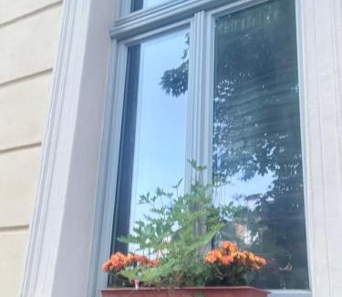 Weissenfels House | Pet-Friendly Ferienzimmer Healing with Kitchen Access