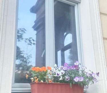 Weissenfels House | Pet-Friendly Ferienzimmer Healing with Kitchen Access