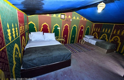 Tarmigt Other | Experience FERME DAR CHARACH: Tent Getaway in a Palm Grove