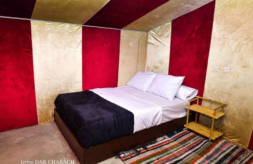 Tarmigt Other | Experience FERME DAR CHARACH: Tent Getaway in a Palm Grove