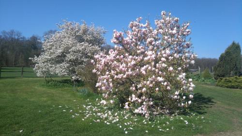 Montroty Bed & Breakfast | Experience Comfort at Ferme de la Haye - 4-Star Retreat