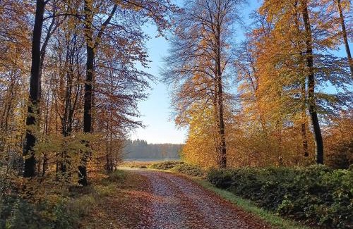 Montroty Bed & Breakfast | Experience Comfort at Ferme de la Haye - 4-Star Retreat
