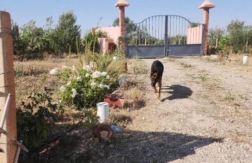 Galdamane House | Budget-Friendly Retreat at Ferme Jnan Al Yassmine