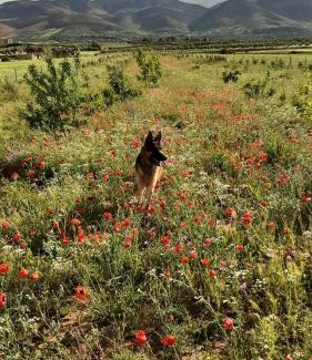 Galdamane House | Budget-Friendly Retreat at Ferme Jnan Al Yassmine