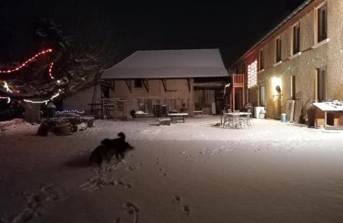 Chelieu Bed & Breakfast | Explore Ferme les poneys de la Durme: Family-Friendly Retreat