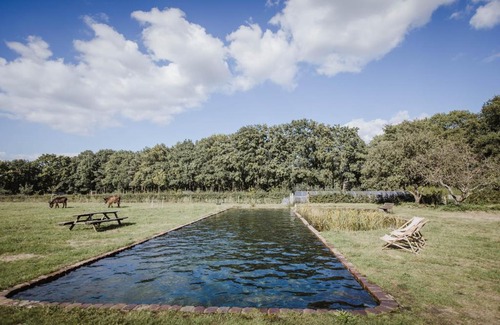 Halle Other | Family-Friendly Retreat at Ferme NeElke Pipowagens
